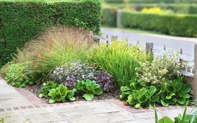 Small Space Gardening for Health and Wellness