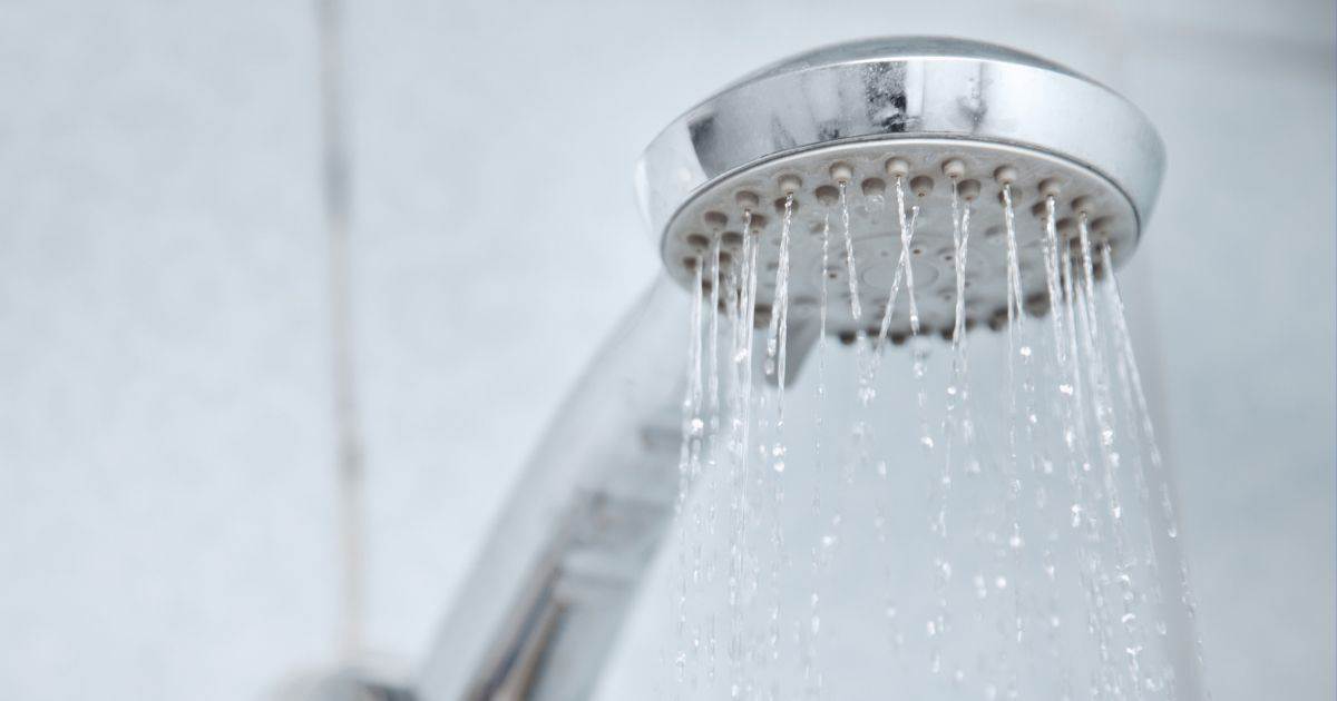 shower head
